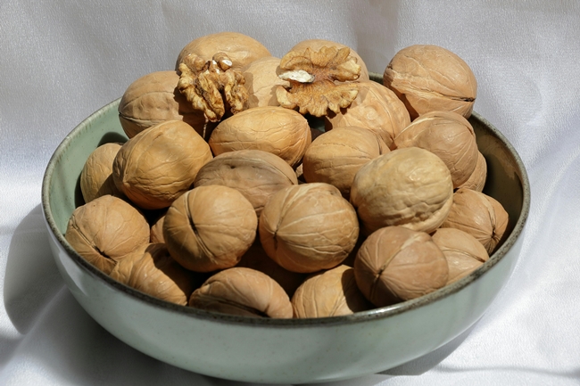 Schüssel mit Walnüssen als pflanzliche Omega-3-Quelle auf weißem Stoffhintergrund.